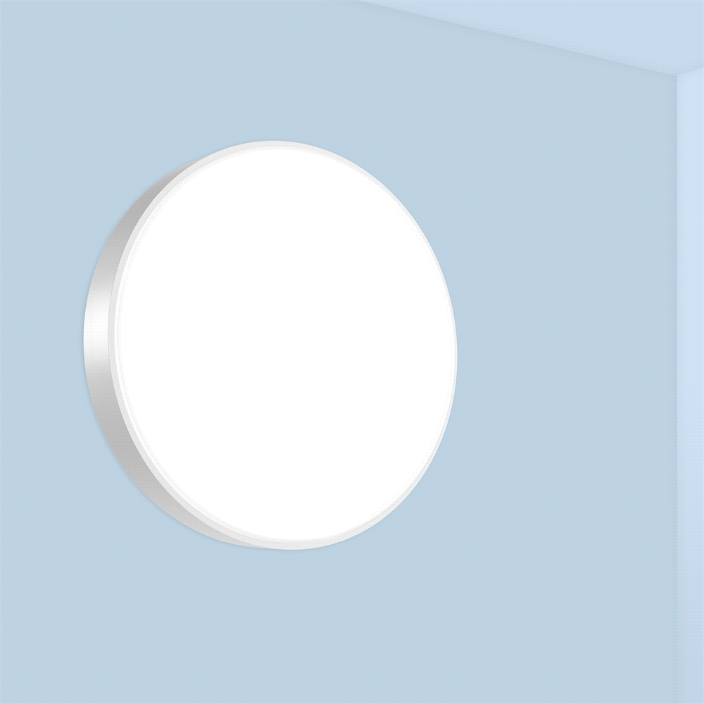 MGLSW-12IN-80CRI-TUWH-PROR-200
0LM-DARK-FLL-MVOLT-FLT-WHTT-NL
T
2000LM CCT Selec 12&quot; Diameter 
120/277V Dim nLight Flat Lens 
White Circular Surface Wall 
Mount